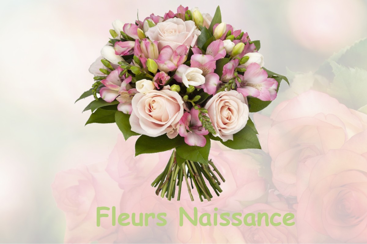 fleurs naissance TOURNEFEUILLE