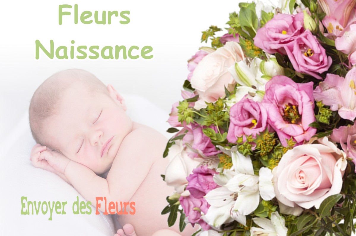 lIVRAISON FLEURS NAISSANCE à TOURNEFEUILLE